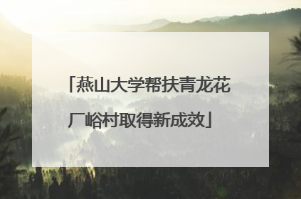燕山大学帮扶青龙花厂峪村取得新成效