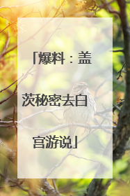 爆料：盖茨秘密去白宫游说