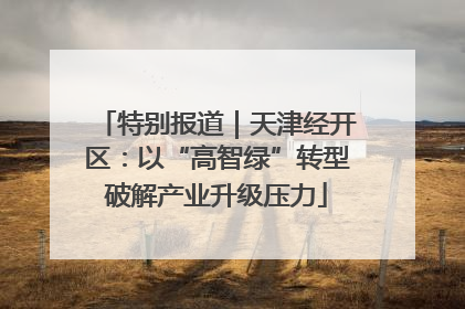 特别报道｜天津经开区：以“高智绿”转型破解产业升级压力