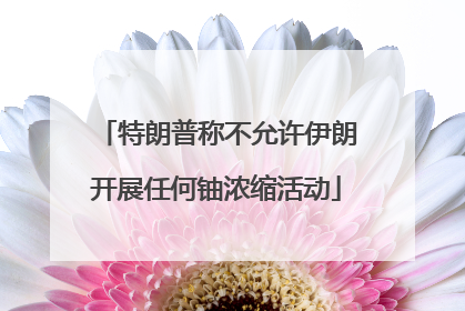 特朗普称不允许伊朗开展任何铀浓缩活动