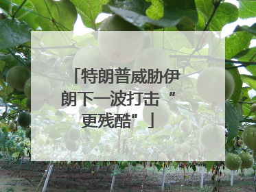 特朗普威胁伊朗下一波打击“更残酷”