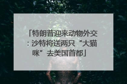 特朗普迎来动物外交：沙特将送两只“大猫咪”去美国首都