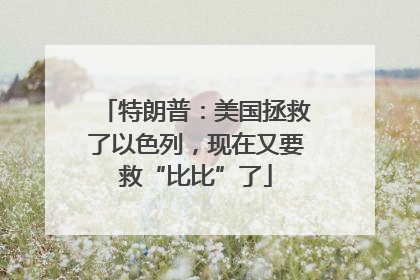 特朗普：美国拯救了以色列，现在又要救“比比”了