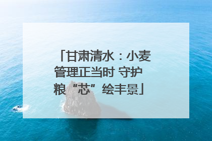 甘肃清水：小麦管理正当时 守护粮“芯”绘丰景