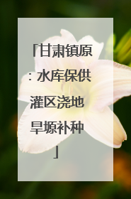 甘肃镇原：水库保供 灌区浇地 旱塬补种