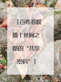 百姓看联播丨丝网之都的“共享密码”