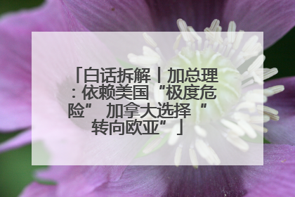 白话拆解丨加总理：依赖美国“极度危险” 加拿大选择“转向欧亚”