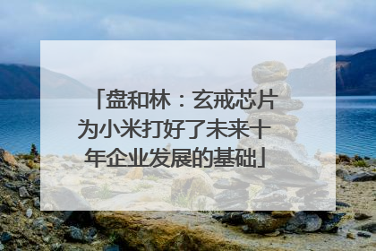 盘和林：玄戒芯片为小米打好了未来十年企业发展的基础