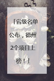 省级名单公布，德州2个项目上榜！