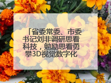 省委常委、市委书记刘非调研思看科技，勉励思看勇攀3D视觉数字化科技高峰