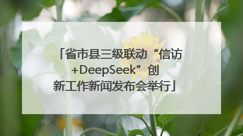 省市县三级联动“信访+DeepSeek”创新工作新闻发布会举行