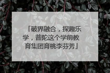 破界融合，探趣乐学，普陀这个学前教育集团育桃李芬芳