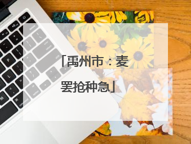 禹州市：麦罢抢种急