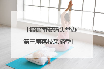 福建南安码头举办第三届荔枝采摘季
