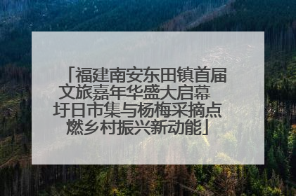 福建南安东田镇首届文旅嘉年华盛大启幕 圩日市集与杨梅采摘点燃乡村振兴新动能