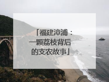 福建漳浦：一颗荔枝背后的支农故事