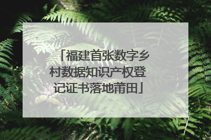 福建首张数字乡村数据知识产权登记证书落地莆田