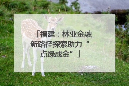 福建：林业金融新路径探索助力“点绿成金”