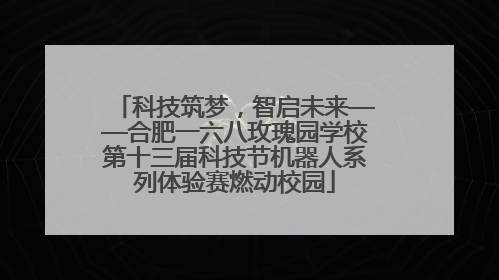 科技筑梦，智启未来——合肥一六八玫瑰园学校第十三届科技节机器人系列体验赛燃动校园