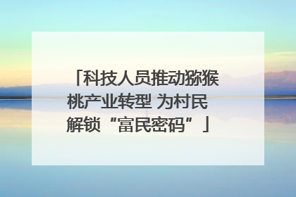 科技人员推动猕猴桃产业转型 为村民解锁“富民密码”
