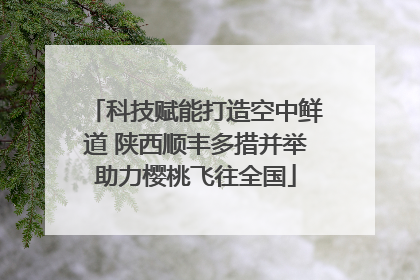 科技赋能打造空中鲜道 陕西顺丰多措并举助力樱桃飞往全国