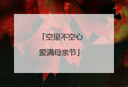 空巢不空心 爱满母亲节