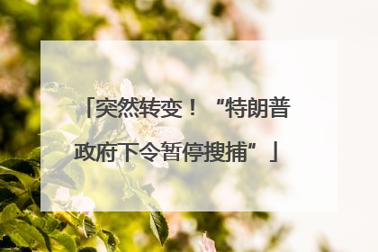 突然转变！“特朗普政府下令暂停搜捕”