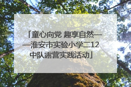 童心向党 趣享自然——淮安市实验小学二12中队露营实践活动