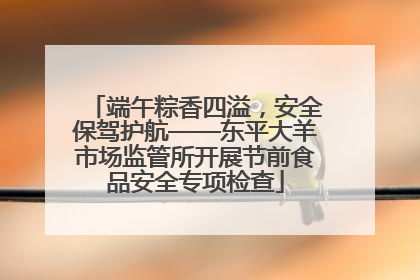 端午粽香四溢，安全保驾护航——东平大羊市场监管所开展节前食品安全专项检查