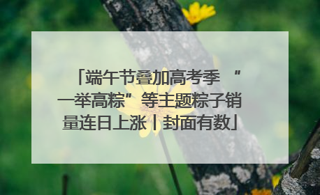 端午节叠加高考季 “一举高粽”等主题粽子销量连日上涨丨封面有数