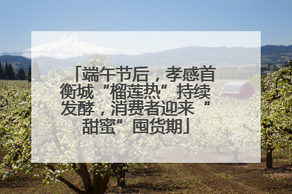 端午节后，孝感首衡城“榴莲热”持续发酵，消费者迎来“甜蜜”囤货期