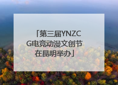 第三届YNZCG电竞动漫文创节在昆明举办