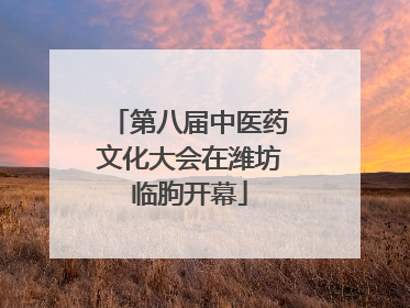 第八届中医药文化大会在潍坊临朐开幕
