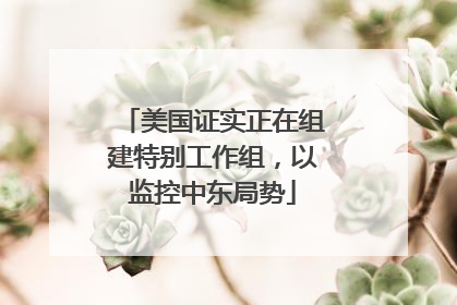 美国证实正在组建特别工作组，以监控中东局势