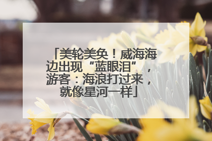 美轮美奂！威海海边出现“蓝眼泪”，游客：海浪打过来，就像星河一样