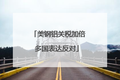 美钢铝关税加倍 多国表达反对