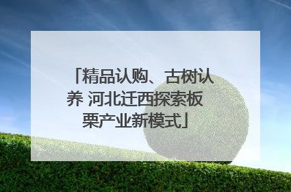 精品认购、古树认养 河北迁西探索板栗产业新模式