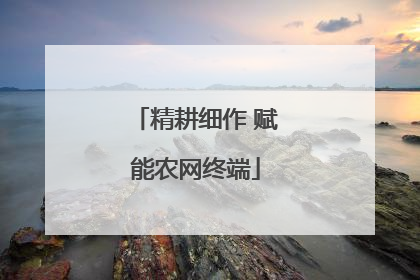 精耕细作 赋能农网终端