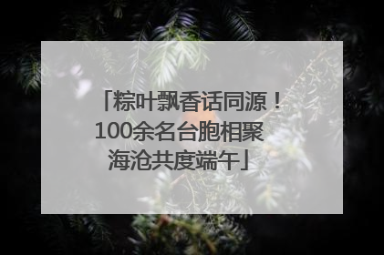 粽叶飘香话同源！100余名台胞相聚海沧共度端午