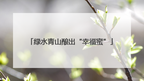 绿水青山酿出“幸福蜜”