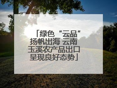 绿色“云品”扬帆出海 云南玉溪农产品出口呈现良好态势