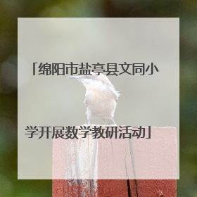 绵阳市盐亭县文同小学开展数学教研活动