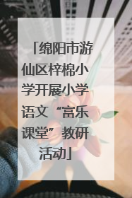 绵阳市游仙区梓棉小学开展小学语文“富乐课堂”教研活动