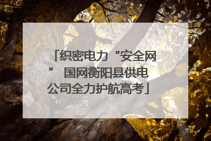 织密电力“安全网” 国网衡阳县供电公司全力护航高考