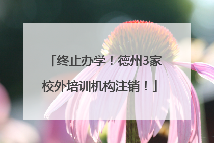 终止办学！德州3家校外培训机构注销！
