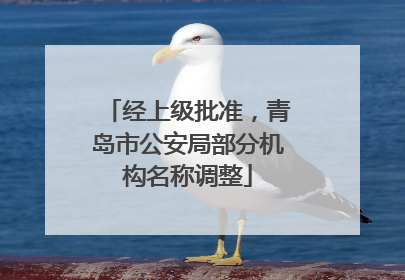 经上级批准，青岛市公安局部分机构名称调整