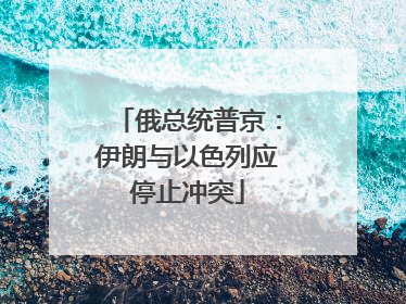 俄总统普京：伊朗与以色列应停止冲突