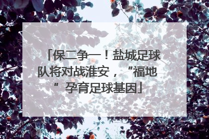 保二争一！盐城足球队将对战淮安，“福地”孕育足球基因