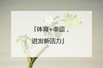 体育+非遗，迸发新活力