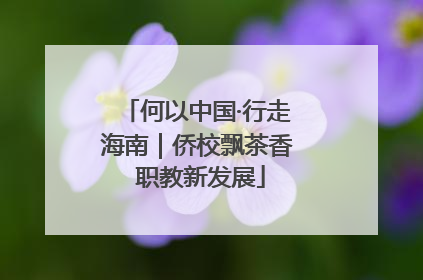 何以中国·行走海南｜侨校飘茶香 职教新发展
